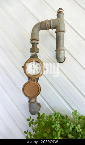 Orologio ad acqua con puntatore classico di un orologio analogico appende con tubazioni su un pannello di legno bianco. Arbusto verde nell'angolo. Germania. Foto Stock