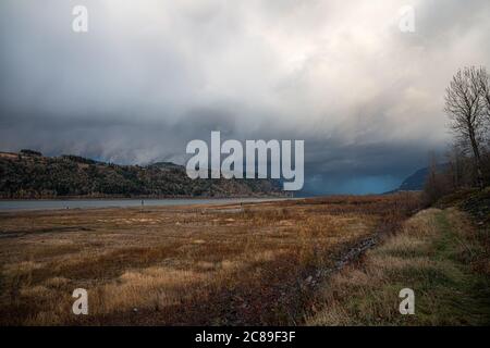 Rooster Rock state Park, OREGON Foto Stock