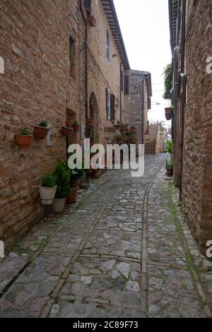 Tipica stradina del centro storico di Spello, Umbria, Italia Foto Stock