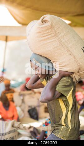 Un lavoratore di magazzino porta un sacco pesante di chicchi di caffè secchi sulle spalle in un magazzino cooperativo di coltivatori di caffè a Mbale, Uganda, Africa. Foto Stock