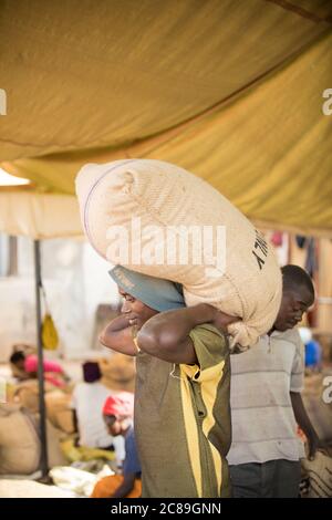 Un lavoratore di magazzino porta un sacco pesante di chicchi di caffè secchi sulle spalle in un magazzino cooperativo di coltivatori di caffè a Mbale, Uganda, Africa. Foto Stock