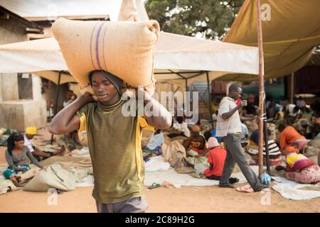 Un lavoratore di magazzino porta un sacco pesante di chicchi di caffè secchi sulle spalle in un magazzino cooperativo di coltivatori di caffè a Mbale, Uganda, Africa. Foto Stock