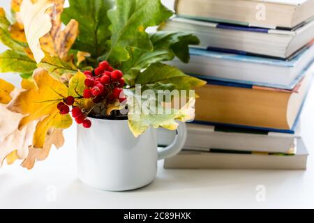 Composizione di autunno con la pila di libri e bouquet di Giallo autunno foglie e rametti di cenere di montagna nella tazza. Caduta stagione concetto, spazio di copia Foto Stock
