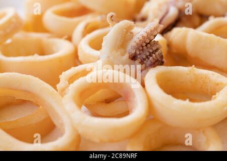 calamari fritti o polpi (calamari) da vicino, isolati su sfondo bianco Foto Stock