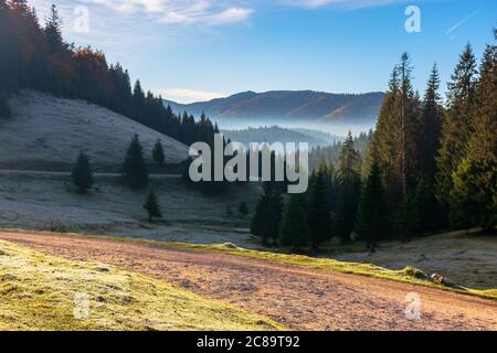 paesaggio forestale in nebbia. montagna dietro la nebbia incandescente in valle. pini silhouette sulle colline di fronte a un paesaggio autunnale soleggiato Foto Stock