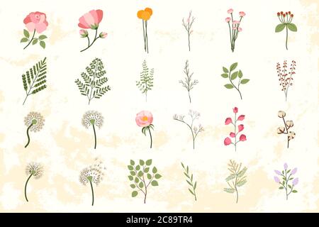 Set grande con elementi floreali. Modello vettoriale di nozze trendy per la decorazione di design. Fern, peonia, dente di leone, foglie ramo, lilla, mimosa, cotone, grappoli di frutti rossi, fiore di rosa. Illustrazione Vettoriale