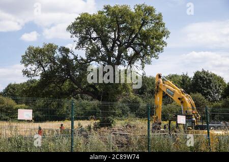 Harefield, Regno Unito. 22 luglio 2020. I lavoratori HS2 monitorano un albero maturo lungo Harvil Road durante i lavori di abbattimento degli alberi per HS2. Gli attivisti ambientali della HS2 Rebellion e della Stop HS2 continuano a protestare contro il collegamento ferroviario ad alta velocità, che attualmente è previsto costare £106 miliardi e rimarrà un contributo netto alle emissioni di CO2 durante i suoi 120 anni di vita previsti, da una serie di campi di protezione della fauna selvatica lungo il suo percorso. Credit: Mark Kerrison/Alamy Live News Foto Stock