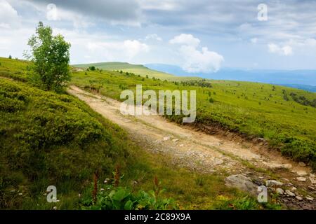 strada montana attraverso prati erbosi. meravigliosa avventura estiva. nuvole sul cielo blu Foto Stock