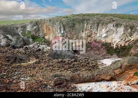 Qui sono mostrate le scogliere sul mare sulla costa di Rhoscolyn che conducono a Rhoscolyn Head su Holy Island, Anglesey, Galles. Foto Stock