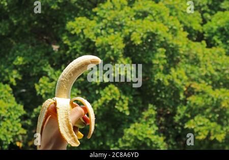 Banana matura pelata in mano con fogliame verde sfocato sullo sfondo Foto Stock