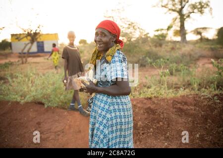 Una donna anziana felice tiene un mazzo di spighe di mais appena raccolte nella sua fattoria nella contea di Makueni, Kenya, Africa orientale. Foto Stock