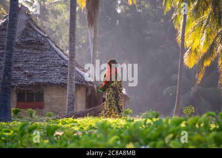 Zanzibar, Paje - Gennaio 2020: Donna Africana Musulmana camminando vicino al suo capanno con tetto di stecca tra palme nel Giardino alla sera Foto Stock