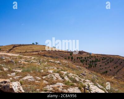 In Gobeklitepe Sanliurfa, Turchia. I resti di un antico santuario neolitico costruito sulla cima di una collina. Si tratta di una delle più antiche strutture religiose in th Foto Stock