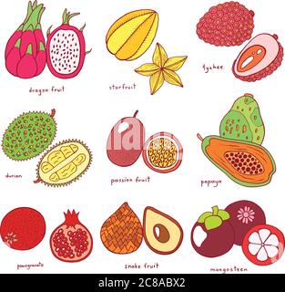 Set colorato disegnato a mano con frutta esotica tropicale. Raccolta isolata di grafica vettoriale Illustrazione Vettoriale