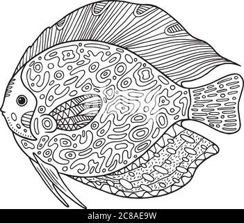 Doodle zentangle pesce. Pagina da colorare con animale per adulti. Illustrazione Vettoriale