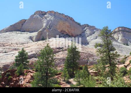 Scenic Byway Zion National Park, Utah Foto Stock