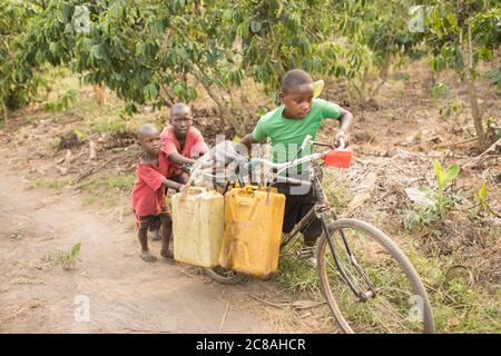 I bambini usano una bicicletta per prendere e trasportare acqua in un villaggio rurale nel distretto di Rakai, Uganda, Africa orientale. Foto Stock