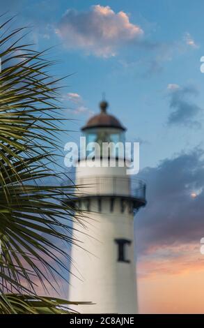 Palm con faro in background al tramonto Foto Stock