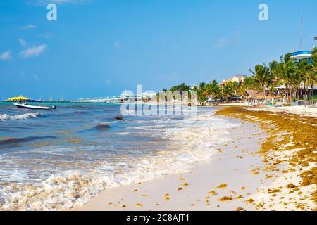 La spiaggia di Playa del Carmen sulla Riviera Maya in una soleggiata giornata estiva Foto Stock