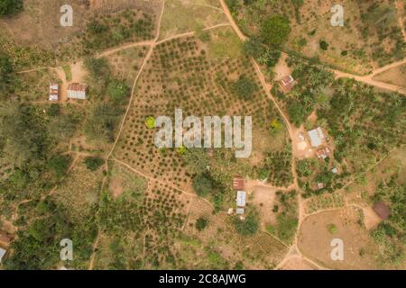 Villaggio rurale nel distretto di Kyotera, Uganda. Progetto giovani SEMENTI LWR Uganda. Febbraio 2018. Foto di Jake Lyell per il Luterano World Relief. Foto Stock