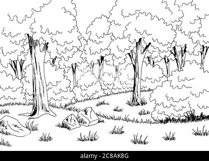 Forest glade grafico bianco nero disegno paesaggio vettore illustrazione Illustrazione Vettoriale