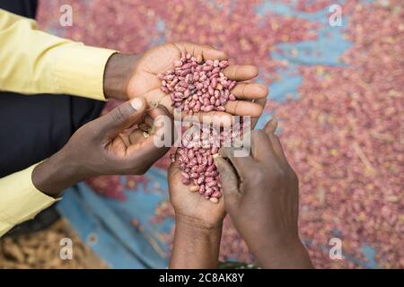 Rose Nabyonga (60, l) riceve una visita di estensione dal suo Agente per le imprese del Villaggio, Deogracias Muwonge (35, l), nel distretto di Kyotera, Uganda. Insieme Foto Stock