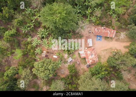 Vista dall'alto di una famiglia boscosa con alberi di banana nel distretto di Kyotera, Uganda, Africa orientale. Foto Stock