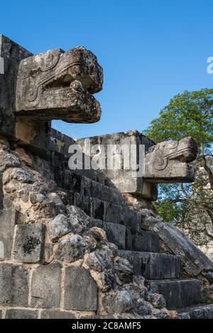 La piattaforma delle aquile e Jaguar, costruita in stile Maya-Tolteco, nelle rovine della grande città maya di Chichen Itza, Yucatan, Messico. Il Pre-H. Foto Stock