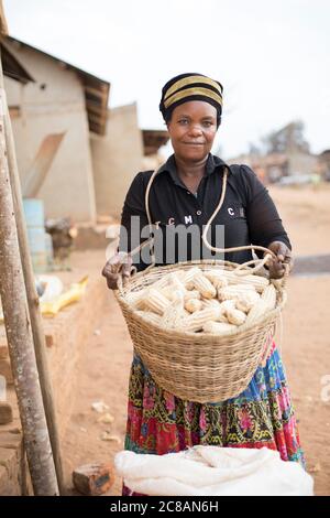 Una donna africana detiene un paniere pieno del suo raccolto di mais nel distretto di Bukomansimbi, Uganda, Africa orientale. Foto Stock