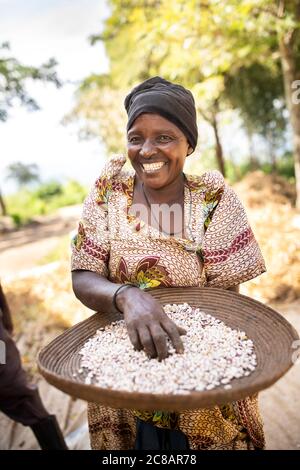 Una piccola contadina sorridente tiene un cesto della sua coltura di fagioli appena raccolta nella sua fattoria nel distretto rurale di Lyantonde, Uganda, Africa orientale. Foto Stock