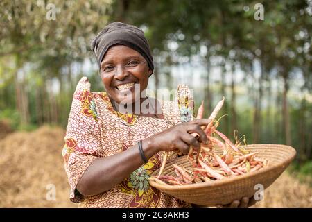 Una piccola contadina sorridente tiene un cesto della sua coltura di fagioli appena raccolta nella sua fattoria nel distretto rurale di Lyantonde, Uganda, Africa orientale. Foto Stock