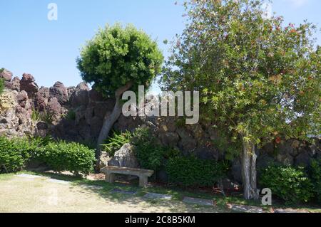 Culver City, California, USA 22 luglio 2020 UNA visione generale dell'atmosfera del cimitero di Santa Croce il 22 luglio 2020 a Culver City, California, USA. Foto di Barry King/Alamy Stock foto Foto Stock