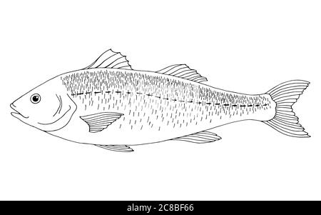 Pesce basso mare grafico bianco nero vettore di illustrazione isolato Illustrazione Vettoriale