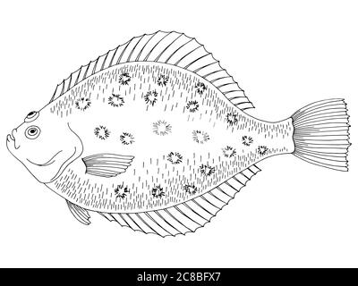 Flounder fish grafico nero bianco vettore di illustrazione isolato Illustrazione Vettoriale