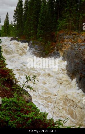Le rapide e gonfie acque scorrono attraverso il Maligne Canyon dopo forti piogge, circondato da foreste e pareti rocciose nel Jasper National Park, Alberta. Foto Stock