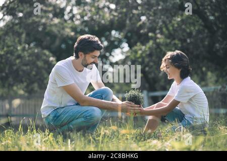 Ragazzo dai capelli scuri e suo padre che tiene la pianta e si sente bene Foto Stock