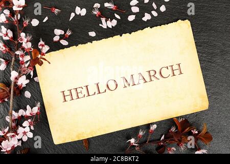 ciao marzo scritto su carta invecchiata con ramoscello di mandorle su tessitura di pietra Foto Stock