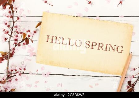 ciao primavera scritto su carta invecchiata con ramoscello di mandorle su legno bianco Foto Stock