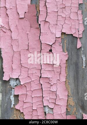 sfondo tavola di legno con buccia di vernice rosa, struttura Foto Stock