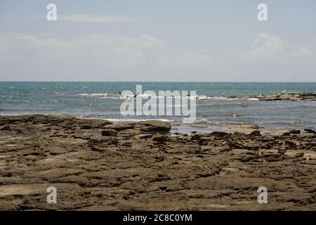 Punta lo sperone roccioso Vernon con uccelli marini selvatici Foto Stock