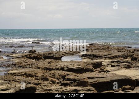 Punta lo sperone roccioso Vernon con uccelli marini selvatici Foto Stock