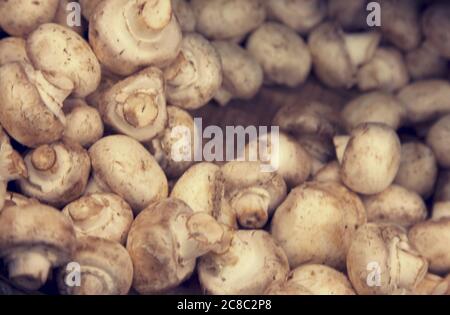 Primo piano dei funghi di bottone nel negozio di alimentari Foto Stock