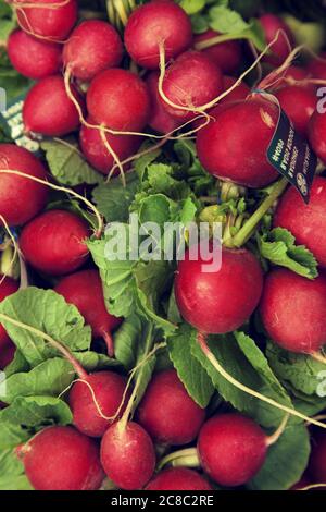 Primo piano di rafano crudo in esposizione sul mercato Foto Stock