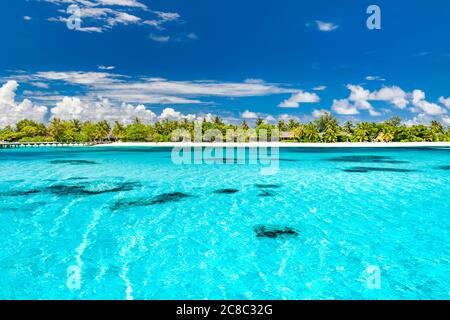 Spiaggia tropicale delle Maldive Foto Stock