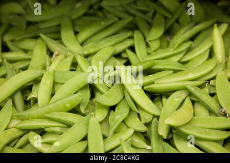 Primo piano dei piselli verdi nel mercato dell'agricoltore Foto Stock