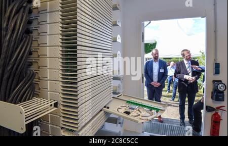 23 luglio 2020, Brandenburg, Schwedt/Oder: Vista in un armadio di distribuzione per connessioni in fibra ottica. Il distretto di Uckermark è nei blocchi di partenza per una fornitura di Internet a prova di futuro. Oggi si sta svolgendo la cerimonia rivoluzionaria per l'obiettivo di espansione di un Gigabit al secondo. Una volta ultimati i lavori, circa 1,800 famiglie private e 300 unità commerciali nella sola area del progetto Schwedt dovrebbero beneficiarne. Il Ministero dell'Economia del Brandeburgo sostiene il distretto nell'espansione della banda larga con 52 milioni di euro. Insieme ai fondi del BRO federale Foto Stock