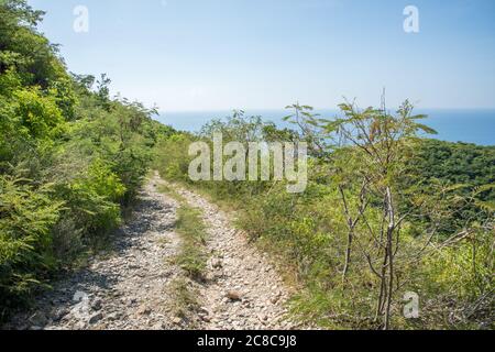 Percorso di montagna di capra sulla collina sull'isola tropicale di St Croix sulla parte orientale della USVI Foto Stock