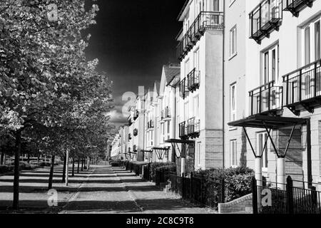 Case a schiera e appartamenti nuovi e moderni a Cardiff Galles UK immagine in bianco e nero foto d'immagine stock Foto Stock