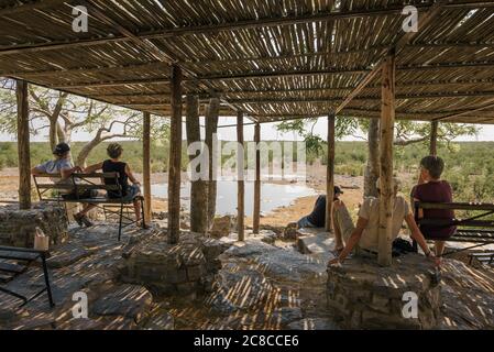 Halali, Namibia - 3 aprile 2019 : i turisti aspettano la fauna selvatica seduta su una panchina presso il bacino d'acqua Moringa situato vicino al campeggio Halali nella nazione Etosha Foto Stock
