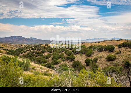 Le montagne di Santa Rita, a circa 40 chilometri a sud-est di Tucson, Arizona, ospitano l'unica jaguar selvaggia conosciuta negli Stati Uniti. Foto Stock